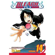 Bleach, Vol. 14: Volume 14