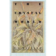 The Crystal World