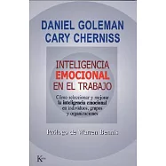 Inteligencia Emocional En El Trabajo / The Emotionally Intelligent Workplace: Como Seleccionar Y Mejorar La Inteligencia Emocion