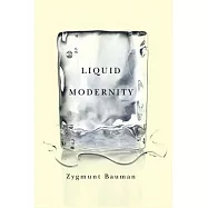 Liquid Modernity