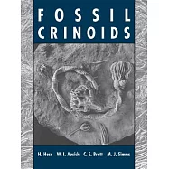 Fossil Crinoids