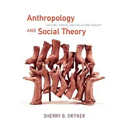 Anthropology and Social Theory: Culture, Power, and the Acting Subject