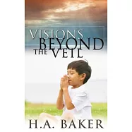 Visions Beyond the Veil: Visions of Heaven, Angels, Satan, Hell and the End of the Age