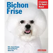 Bichon Frise