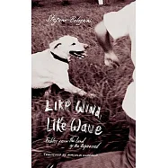 Like Wind, Like Wave: Fables from the Land of the Repressed