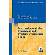 Topics on Concentration Phenomena And Problems With Multiple Scales