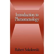 Introduction to Phenomenology