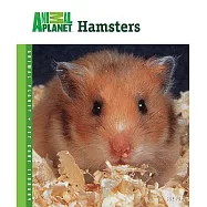 Hamsters