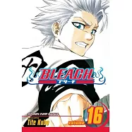 Bleach 16