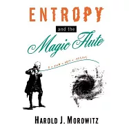 Entropy and the Magic Flute
