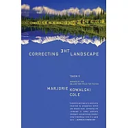 Correcting the Landscape