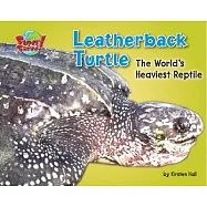 Leatherback Turtle: The World’s Heaviest Reptile