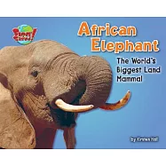 African Elephant: The World’s Biggest Land Mammal
