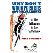 Why Don&rsquo;t Woodpeckers Get Headaches: And Other Answers to Bird Questions You Know You Want to Ask