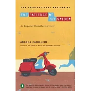 The Patience of the Spider