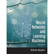 Neural Networks and Learning Machines
