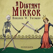 A Distant Mirror: Library Edition