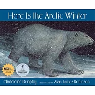 Here Is the Arctic Winter