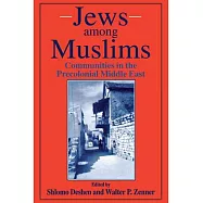 Jews Among Muslims: Communities in the Precolonial Middle East