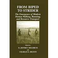 From Biped to Strider: The Emergence of Modern Human Walking, Running, and Resource Transport