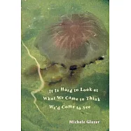 It Is Hard to Look at What We Came to Think We’d Come to See