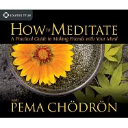 How to Meditate with Pema Chodron: A Practical Guide to Making Friends with Your Mind