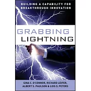 Grabbing Lightning: Building a Capability for Breakthrough Innovation