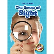 The Sense of Sight