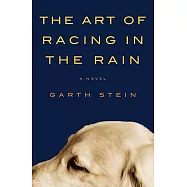 The Art of Racing in the Rain