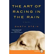 The Art of Racing in the Rain