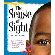 The Sense of Sight