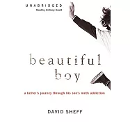 Beautiful Boy: A Father’s Journey Through His Son’s Meth Addiction