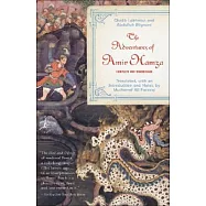 The Adventures of Amir Hamza