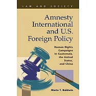 Amnesty International and U.S. Foreign Policy: Human Rights Campaigns in Guatemala, the United States, and China