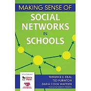 Making Sense of Social Networks in Schools