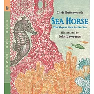 Sea Horse: The Shyest Fish in the Sea