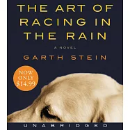 The Art of Racing in the Rain