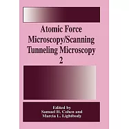 Atomic Force Microscopy/Scanning Tunneling Microscopy 2