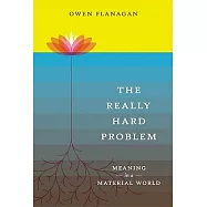 The Really Hard Problem: Meaning in a Material World