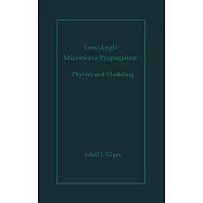 Low-Angle Microwave Propagation: Physics and Modeling