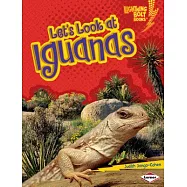 Let’s Look at Iguanas