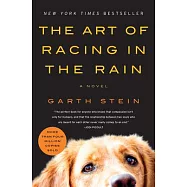 The Art of Racing in the Rain
