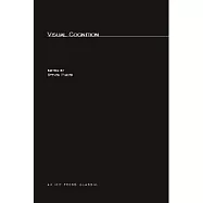 Visual Cognition