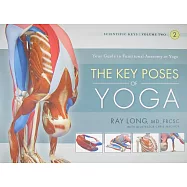 The Key Poses of Yoga