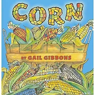 Corn