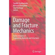 Damage and Fracture Mechanics: Failure Analysis of Engineering Materials and Structures