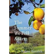 The Summer We Fell Apart