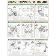 Strength Training For The Chest