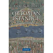 A Social History of Ottoman Istanbul
