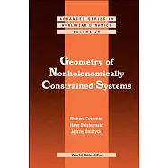 Geometry of Nonholonomically Constrained Systems